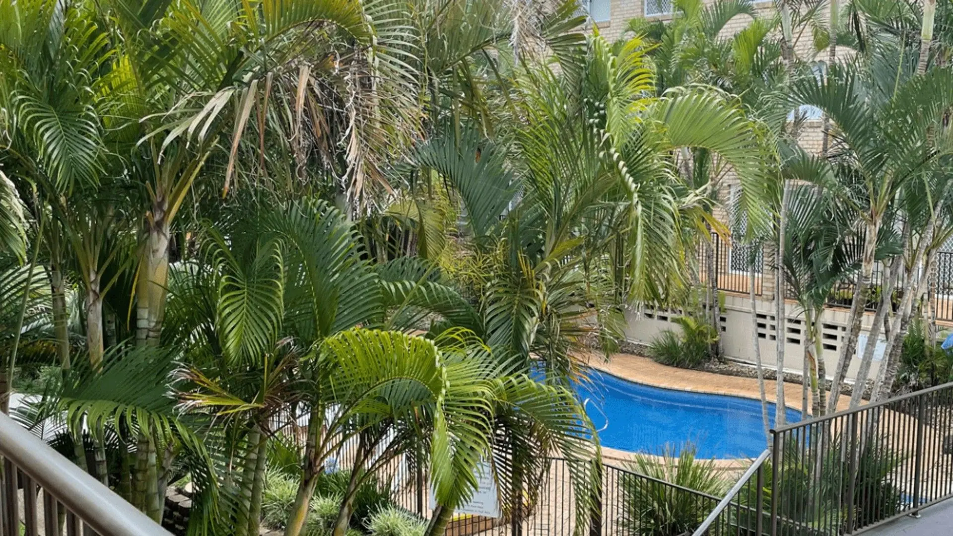 Cabarita Beachfront Poolside 23