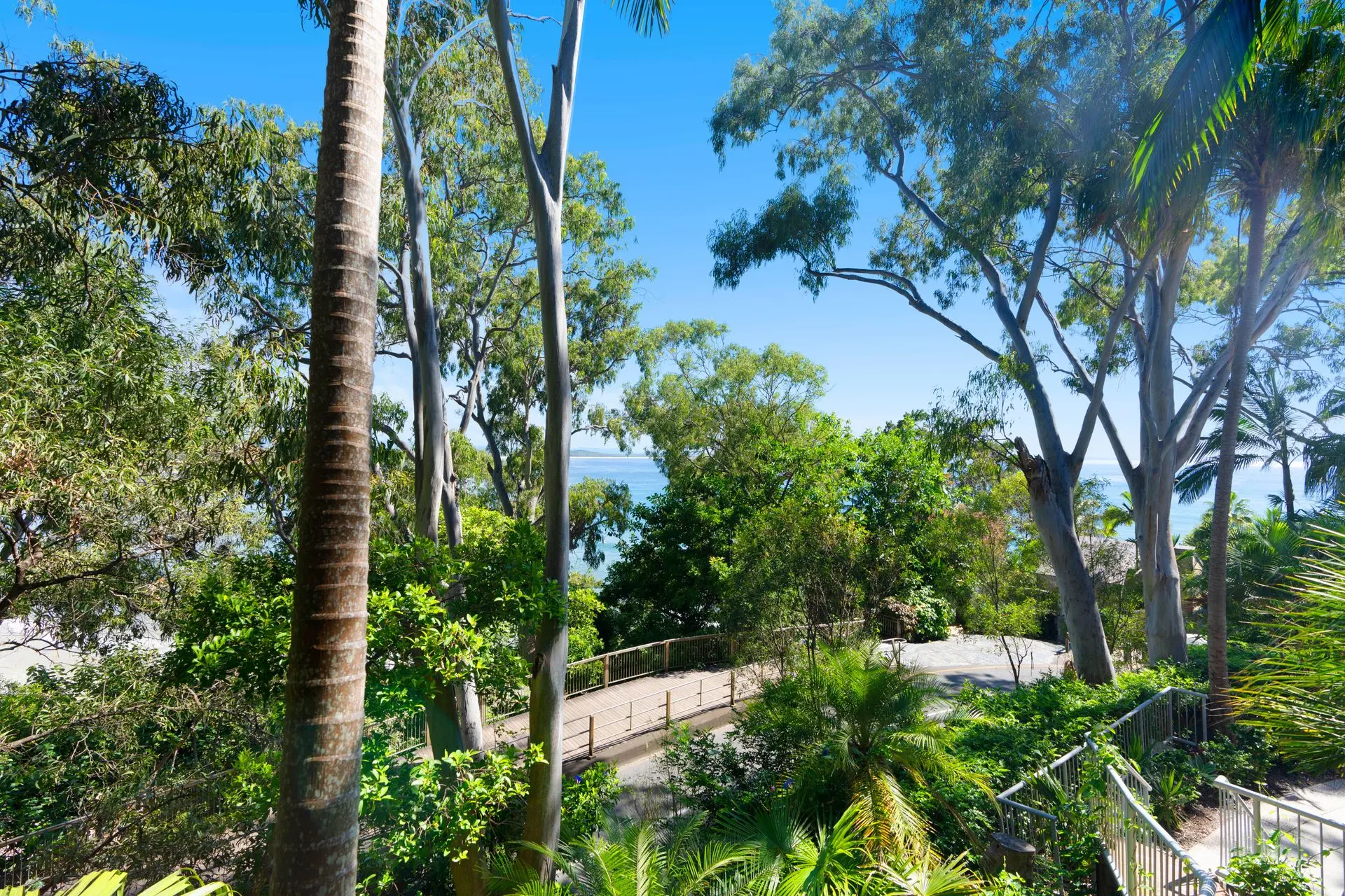 Billie – Little Cove