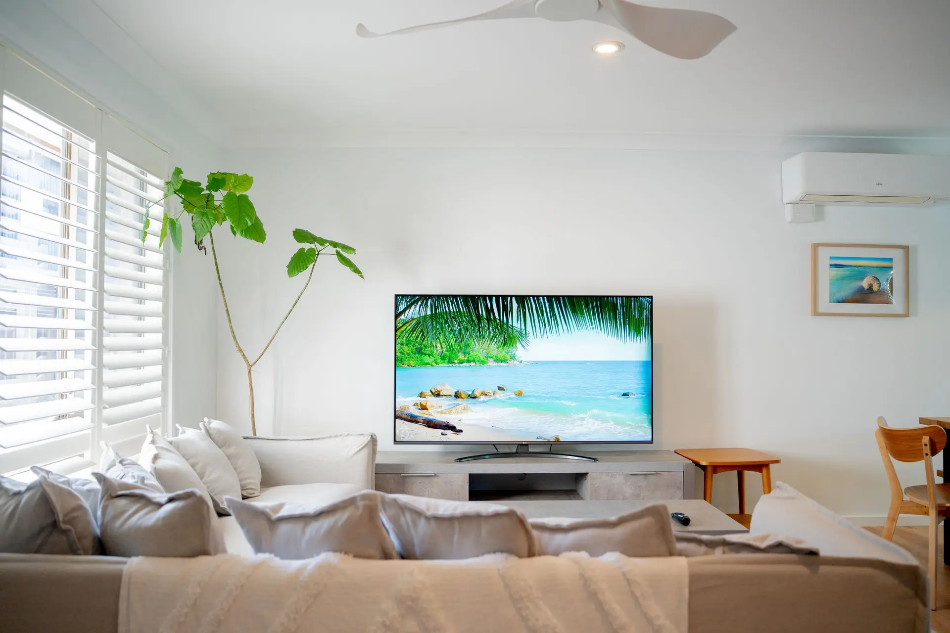 Paws & Palms Hideaway