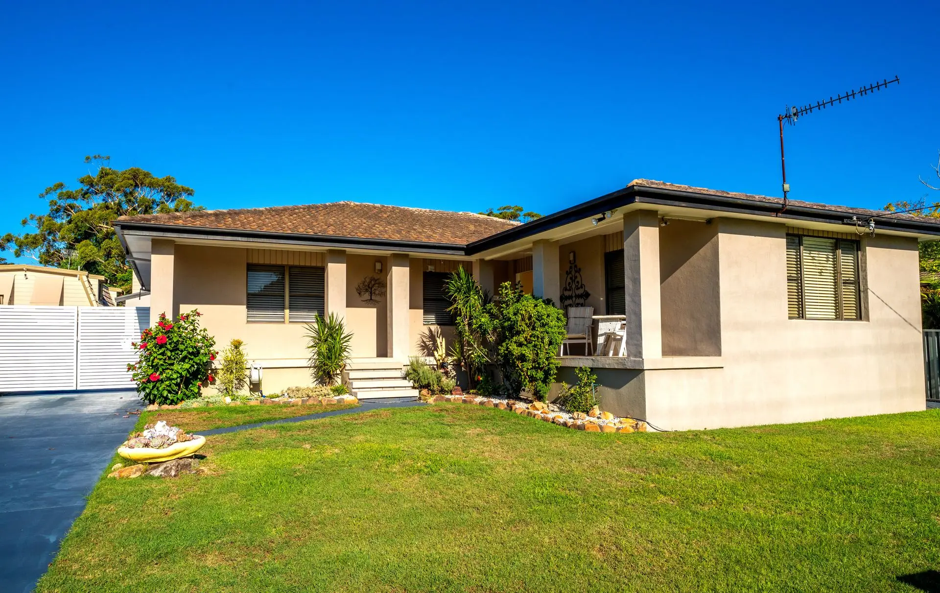 Joy On Shoal Shores!