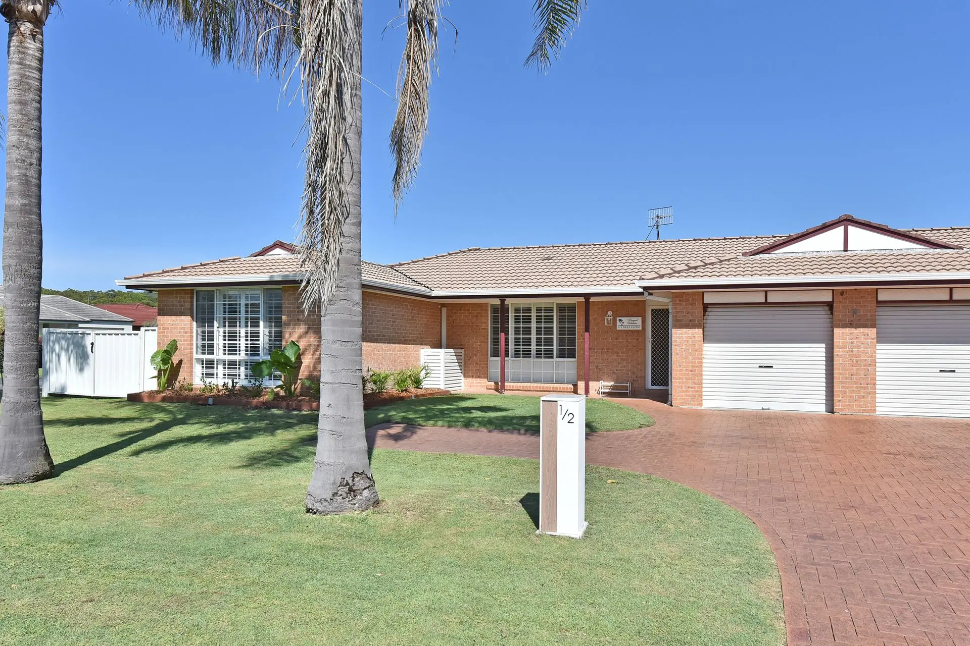 Fingal Palms